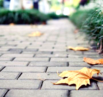 Pavés autobloquants en béton Bicouches